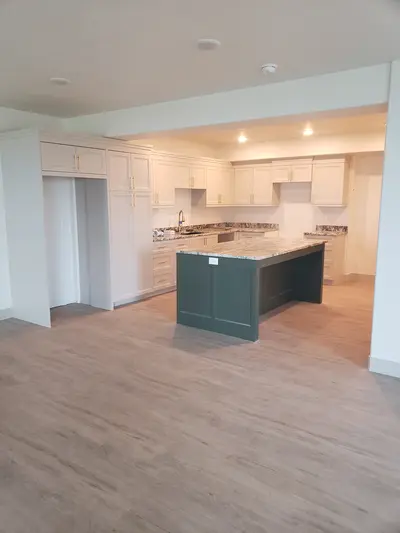 Basement Remodel project